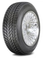 Landsail Winter Lander (Nordic) 225/55R17 97 H