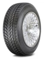 Landsail Winter Lander 205/55R17 95 H