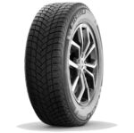 Michelin X-ICE SNOW RG 245/35R21 96H